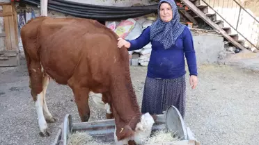 Hayvancılıkla Ekonomik Kalkınma
