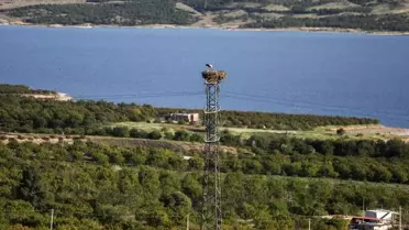 Leylek Narin, Baskil'in Maskotu Oldu