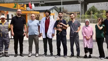 Ziftle Savaşan Köpek Yavrusu Tedavi Olup Sahiplenilecek