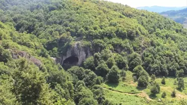 Erken Tunç Çağı'nda Hastalıklar ve Tedavi Yöntemleri