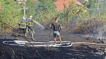 Zonguldak'ta Orman Yangınları Söndürüldü