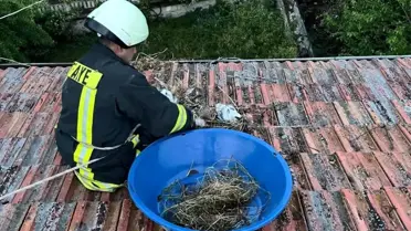 Fırtına Yüzünden Çatıda Mahsur Kalan Yavru Leylekler Kurtarıldı