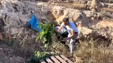 Şanlıurfa'da Uyuşturucu Operasyonu
