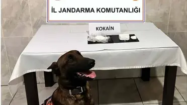 Yatağan’da Otobüste 290 Gram Kokain Yakalandı