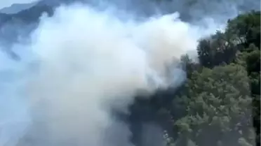 Marmaris'te Orman Yangını