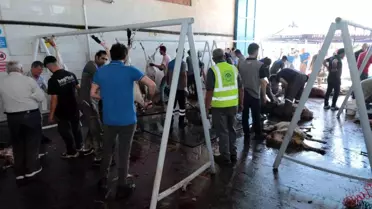 Odunpazarı Belediyesi'nden Ücretsiz Kurban Kesim Hizmeti