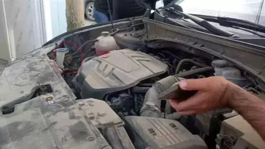 Hatay'da Yavru Kedi Tehlikeden Kurtarıldı