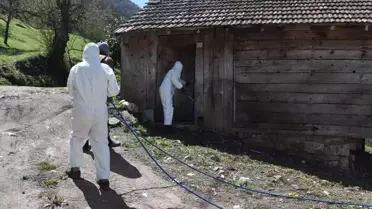 Bursa'da 3 mahallenin kabusu oldular: Yok etmek imkansız