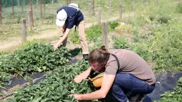 Nilüfer Belediyesi Fransa'dan Gelen Tarım Heyetini Ağırladı