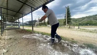 Taşköprü Belediyesi Kurban Bayramı İçin Hazırlıklarını Tamamladı