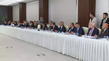 Ankara'da Sahipsiz Köpek Kayıtları