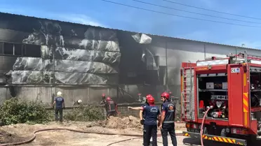 Adapazarı'nda Kontrplak Tesisinde Yangın