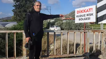 Hatay'da 4 mahalleye kuduz karantinası, vatandaş sokağa çıkarken tedirgin