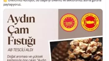 Aydın Çam Fıstığı AB'den Tescil Aldı