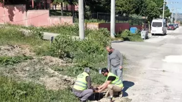 İnönü Belediyesi Yeni Aydınlatma Direkleriyle İlçeyi Aydınlatıyor