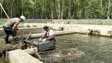 Malatya'da Su Ürünleri Üretimi ve Lezzeti Artıyor