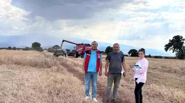 Salihli’de Hububat Hasadı Denetimi