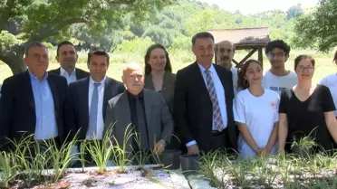 Marmara Denizi için Yüzer Bitki Adaları