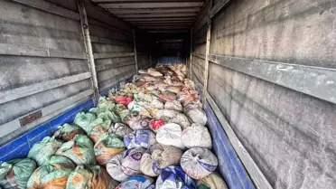 Van'da Kaçak Avcılığa Büyük Darbe