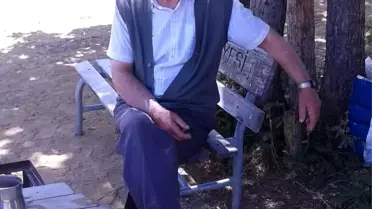 Kene Isırığı Hayat Aldı
