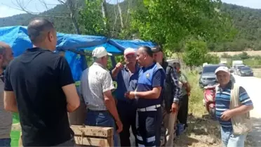 Osmaneli'nde Kurban Bayramı Öncesi Hayvan Pazarı Denetimleri Devam Ediyor