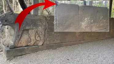 Milyonlarca dolarlık sırlar burada saklı! Çözülmesi için ödüller kondu