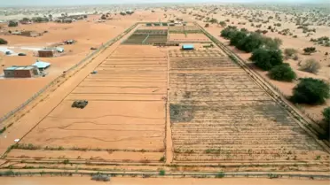 Çin-Afrika Ekolojik Bariyer Projesi