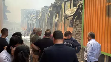 Kemalpaşa'da Orman Yangını
