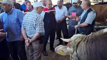 Aydın'da Kurban Hazırlıkları Denetlendi