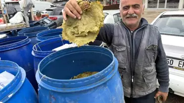 Erbaa Narince Yaprağı Donun Ardından Pazarda