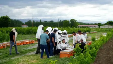 Iğdır'da Arı Kovanı Dağıtımı