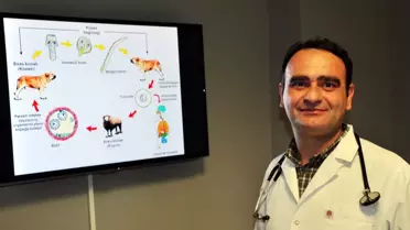 Kurban Bayramı'nda Kist Hidatiği Uyarısı