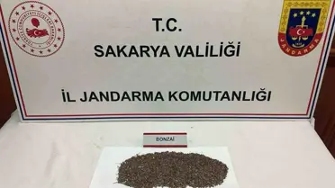 Sakarya'da Uyuşturucu Operasyonu: 150 Gram Bonzai Ele Geçirildi