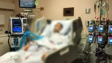 Sağlık Bakanlığı'ndan 'kene' uyarısı: Sadece hayvandan değil insandan da bulaşıyor