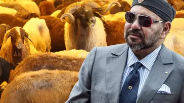 Fas'ta kurban pazarları kapatıldı! Sadece Kral sembolik kesim yapacak