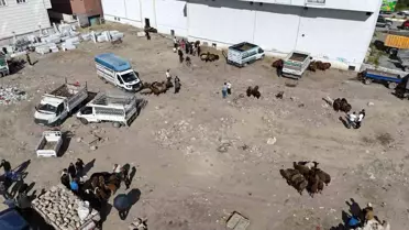 Iğdır'da Kurban Bayramı Öncesi Yoğunluk Havadan Görüntülendi