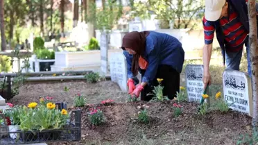 Kocaeli Büyükşehir Belediyesi'nden Mezarlık Ziyaretine Çiçek Dağıtımı