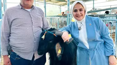 Sema Silkin Ün Canlı Hayvan Pazarını Ziyaret Etti