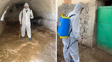 Şırnak'ta şap hastalığı tespit edildi, bir köy karantinaya alındı