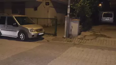 Pitbull Çocuğa Saldırdı, Aile Çaresiz Kaldı