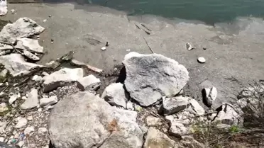Bakırköy Botanik Parkı 14 aydır kapalı: 'Bir çevre katliamıyla karşı karşıyayız'