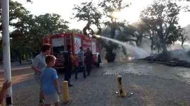 Burhaniye'de Ot Yangını Korkuttu