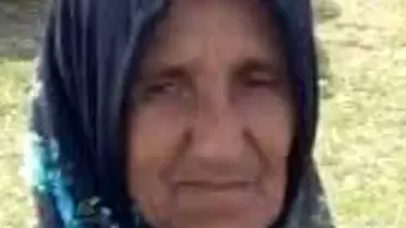 Fatsa'da Kamyon Çarpan Kadın Hayatını Kaybetti
