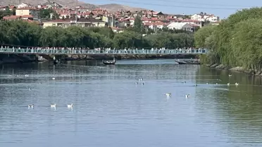 Tahtalı Köprü'de Denge Demiri Kırıldı