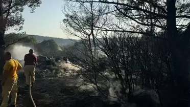 İzmir'de Orman Yangınına Neden Olan Şahıs Tutuklandı