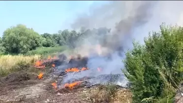 Bafra'da Otluk Alanda Yangın Kontrol Altına Alındı