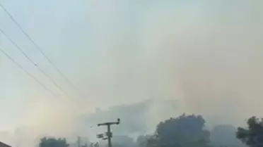 Bodrum'da Maki Yangını Çıktı