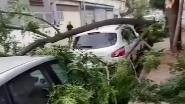 Gaziantep'te Şiddetli Fırtına Hayatı Felç Etti