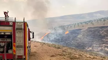 Birecik'te Orman Yangınına Müdahale Devam Ediyor
