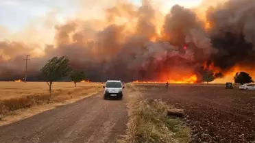 Gaziantep Ovası'nda Yangın: 2 Bin Dönüm Alan Yandı